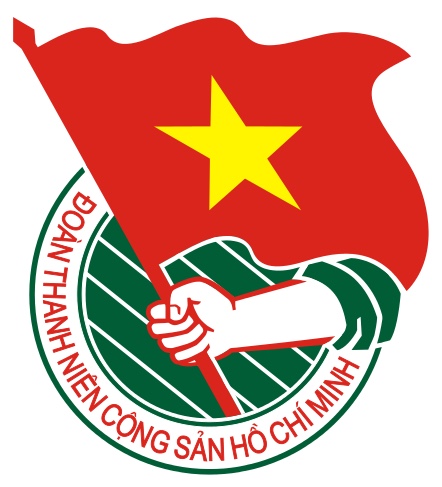 HUY HIỆU ĐOÀN CÁC LOẠI
