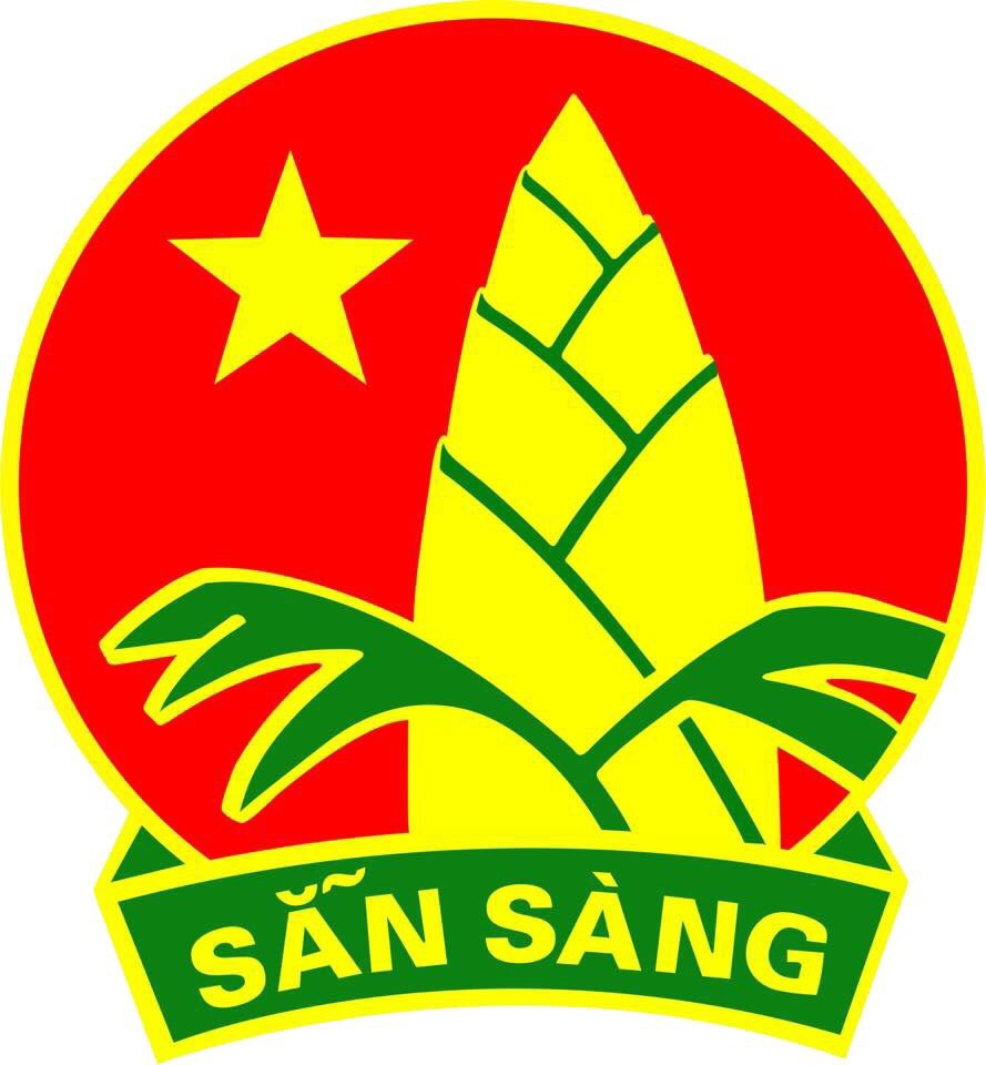 HUY HIỆU ĐỘI THIẾU NIÊN TIỀN PHONG HỒ CHÍ MINH 