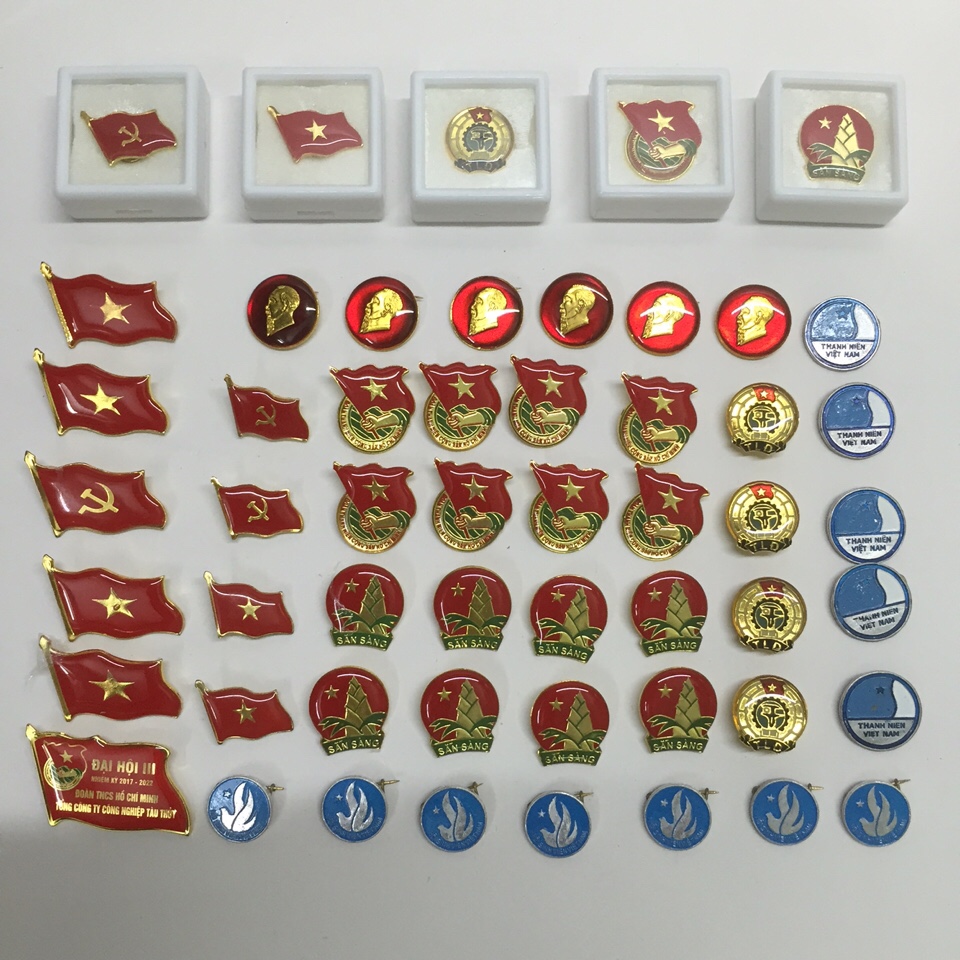 Huy hiệu Đoàn Đội 
